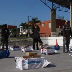 El alcaloide estaba empaquetado dentro de un contenedor con productos alimenticios.