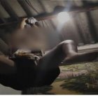 La colombiana, de 35 años, fue grabada cuando se subió al techo para intentar cumplir una acrobacia sexual.