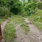 En el camino estaban unos restos y a pocos metros, el cuerpo.