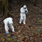Parte de los restos humanos yacían cubiertos por hojas secas en un canal de riego.
