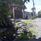 Las raíces han invadido tanto las veredas como las calles.