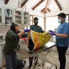 El cadáver del cóndor hembra permanece en el zoo de Quito, mientras se le realiza la necropsia.