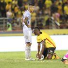 Delfín sorprende a los canarios y se le lleva los tres puntos.