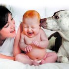 Si el perro tiene mal comportamiento es importante que lo vea un etólogo. No lo mandes al patio, ni lo aísles.