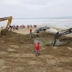 El hecho alarmó a nativos y turistas. El animal fue sepultada en el mismo sitio.