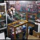 Los ladrones empujaron la vitrina del local y entraron a la fuerza. Uno de ellos tenía una pistola.