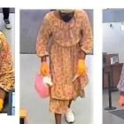 La policía local no ha precisado la cantidad de dinero que se ‘voló’ la ‘veterana chora’.