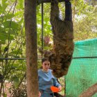 Cuqui Brown gana destrezas en el centro de rescate YanaCocha.
