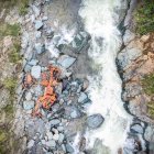 Su vehículo fue encontrado en el fondo de una quebrada en cuenca.
