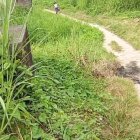 Sobre el camino de tierra aún hay señales del atroz crimen contra Édgar Palomino.