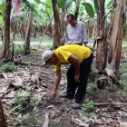 Los residentes se reunirán a la medianoche para tratar de averiguar algo del fenómeno.