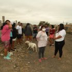 Desarticulan banda de presuntos delincuentes que se robaban hasta los perros