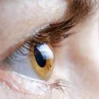 Córneas con colágeno de cerdo experimentales devuelven la vista a 20 personas