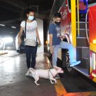 Viviana no quiso dejar a su perrita Camila, la chihuahua la acompañó hasta su natal Vinces.