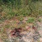 En este lugar fueron ejecutados 3 hombres la noche del miércoles, en las afueras de Durán