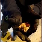 El bombero muestra entre sus manos al asustado y sucio animalito, sacado del ducto.