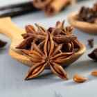 El anís se integra a todo tipo de platillos.
