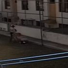 En el video se puede ver que el niño está jugando en la cancha, el perro entra y lo ataca. Una vecina intenta detener al can.