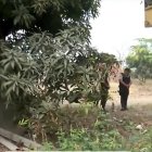 En una casa de Pancho Negro hallaron muertos a cuatro hombres, la noche del 31 de agosto de 2022.