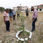 El barrio, hace pocos días, decidió sembrar una docena de árboles.