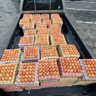 Robo a una bodega de huevos delató a banda delictiva a la que le seguían los pasos