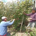 Zoila Garcés y su hijo tratan de sanar sus heridas de temor cultivando en su huerto.
