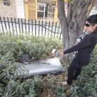 Dentro del lugar se observa una ‘habitación’ armada y lista para tener sexo entre arbustos.