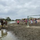 Un caballito se hace presente en las jornadas deportivas.
