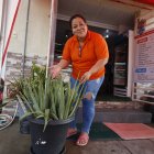 Delia señala a la única mata de sábila que le dejaron. Ella quisiera tener de vuelta su planta.