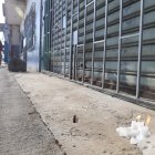 Teresa Guaigua y Henry Ceballos fueron asesinados afuera de su negocio.