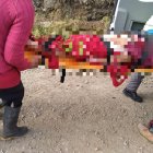 La zona del incidente es un sector de constante conflicto entre grupos de nativos defensores del agua.