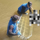 Los cuerpos tenían huellas violentas.
