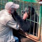 El profesional estuvo a cargo del animal los últimos 25 años.