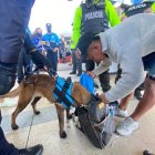 Durante los controles también se revisa si los pasajeros llevan sustancias estupefacientes.