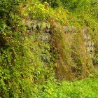 El cadáver quedó tendido dentro del terreno baldío.