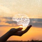 Una nueva terapia abre la puerta a tratar la epilepsia y otros trastornos