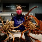 Un estudio científico suizo vincula la motivación con determinados alimentos.