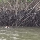 La víctima aún no ha podido ser identificada por las autoridades.