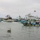 Entre los pescadores de Santa Elena tienen mucha preocupación.
