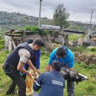 La implicada habría cometido este acto porque el canino supuestamente se comió un animal de su corral.