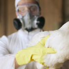 En las acciones están involucrados personal del MAG, Agrocalidad, Fuerzas Armadas, Policía Nacional, Ministerio de Salud Pública, entre otros.