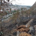 Residentes de Bellavista alarmados por incendio forestal en el cerro del sector