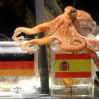 El famoso Pulpo Paúl hizo historia en el Mundial de Sudáfrica 2010.