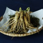 Proveniente de la China, el ginseng es un estimulante