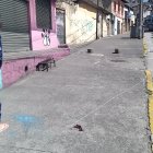 La mascarilla que usó la víctima seguía en el lugar.