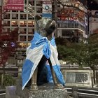 La estatua de Hachiko apareció arropado con la bandera de Argentina.