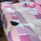 El cuerpo de la mujer fue hallado junto a su cama.