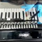 En este acordeón los agentes también encontraron droga.