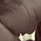 El hecho fue denunciado por una mujer en el norte de Quito.