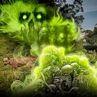 Los perros deambulan por los terrenos donde hallaron los restos óseos.